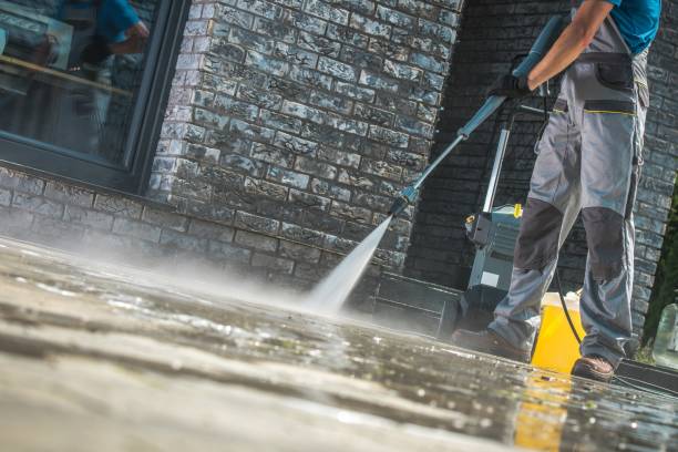 Best Animal Enclosure Cleaning  in Boulder Creek, CA